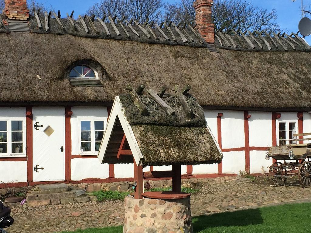 Arilds Vingård Bed & Breakfast Eksteriør bilde
